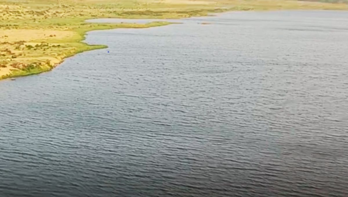 समाज सुधारक के रूप में समाज सुधारक के रूप में