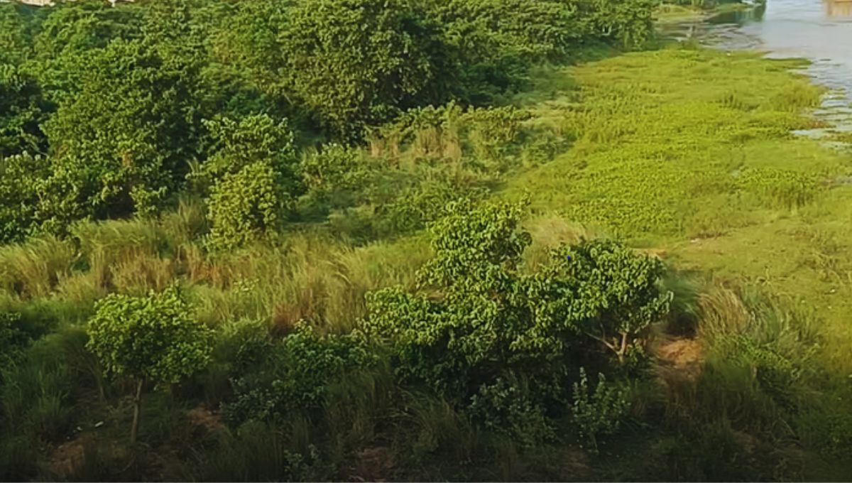 ब्रिटिश हुकूमत के खिलाफ विद्रोह ब्रिटिश हुकूमत के खिलाफ विद्रोह