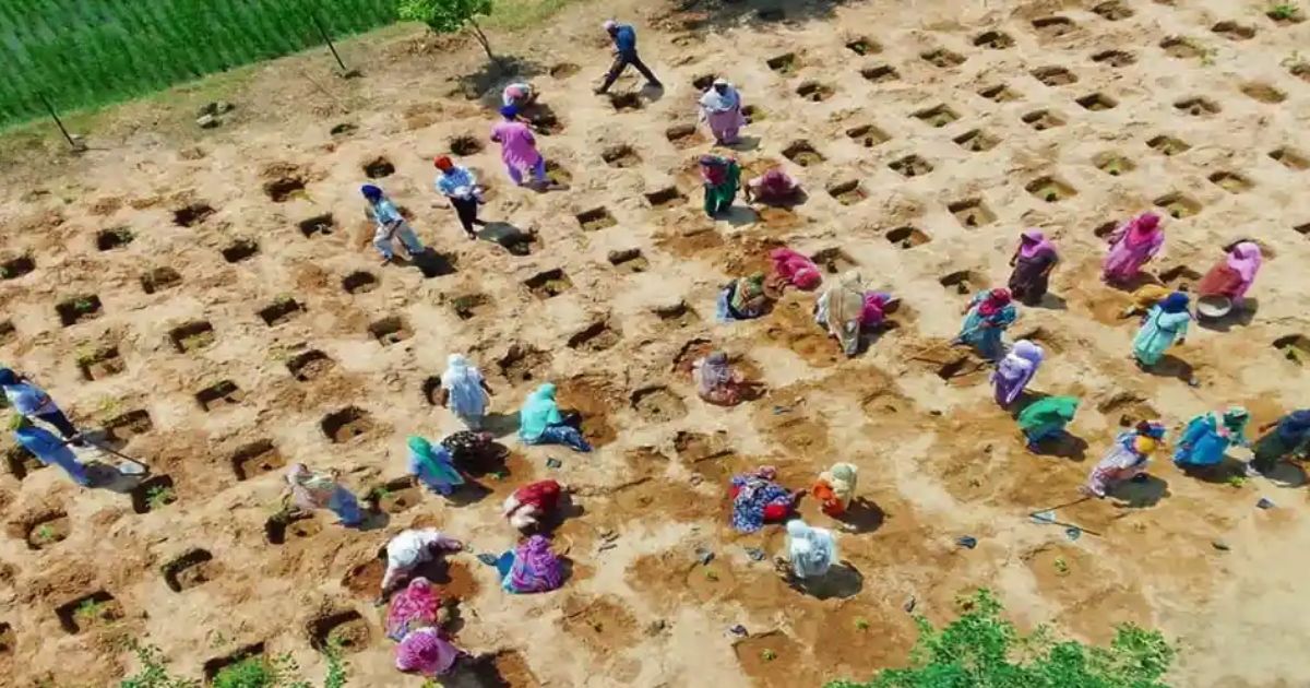 मनरेगा पर खर्च की कैची, खड़गे ने पूछा – गरीबों का क्या दोष? मनरेगा पर खर्च की कैची, खड़गे ने पूछा – गरीबों का क्या दोष?