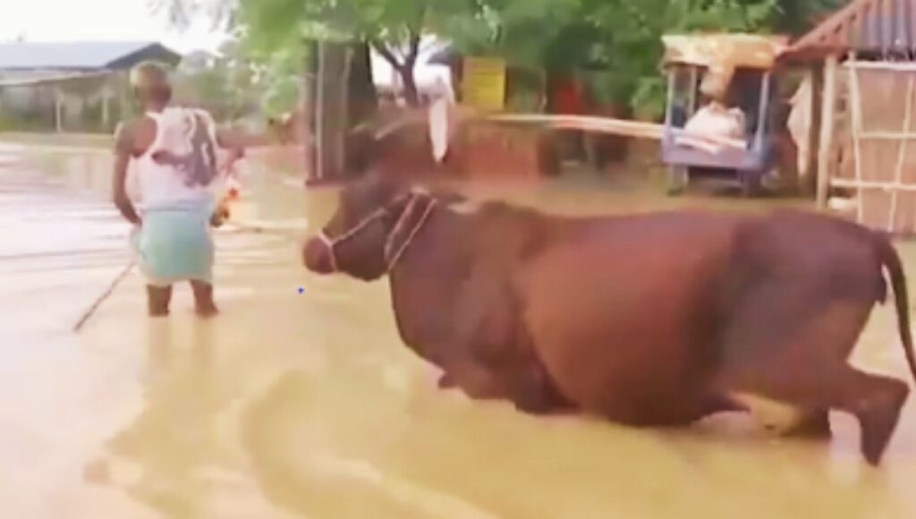 आपदा की हर घड़ी में बिहार सरकार बनी सहारा