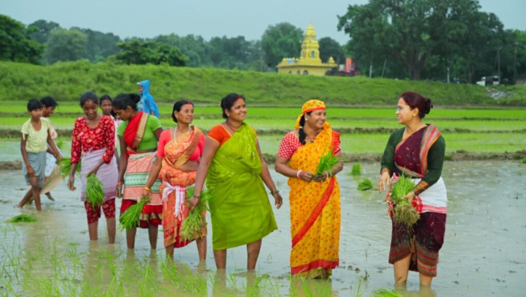 राज्य कृषि मंत्री शिल्पी नेहा तिर्की खुद कीचड़ में उतरकर धान रोपने लगीं