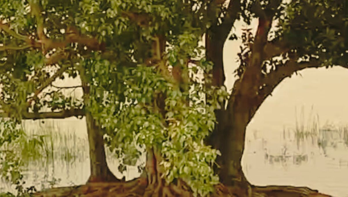 डेरा सच्चा सौदा के अनुयायियों ने लगाए 17 करोड़ पौधे डेरा सच्चा सौदा के अनुयायियों ने लगाए 17 करोड़ पौधे