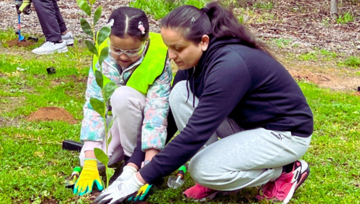 डेरा सच्चा सौदा के अनुयायियों ने लगाए 17 करोड़ पौधे हर साल 14-15 अगस्त को चलाते हैं विशेष अभियान