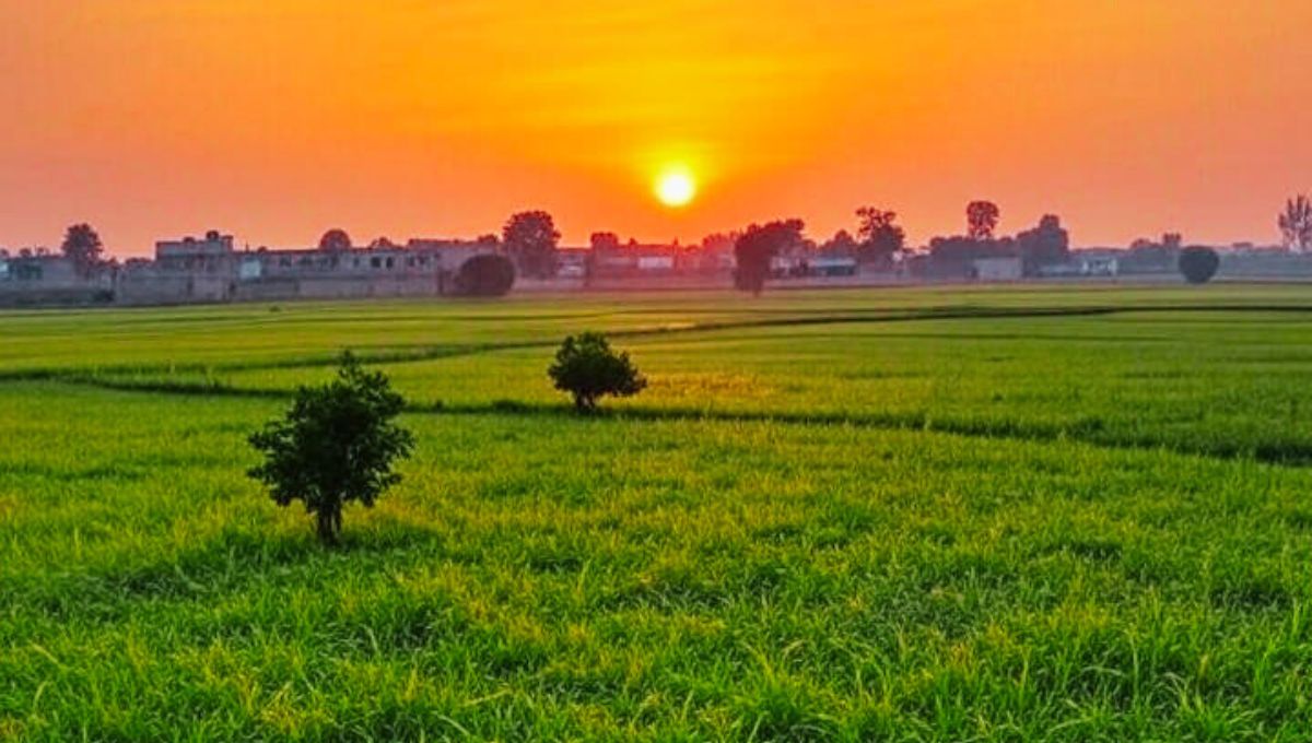 बिहार में अब सिर्फ चुनाव नहीं हो रहे, लोकतंत्र का पुनर्जन्म हो रहा है बिहार में अब सिर्फ चुनाव नहीं हो रहे, लोकतंत्र का पुनर्जन्म हो रहा है