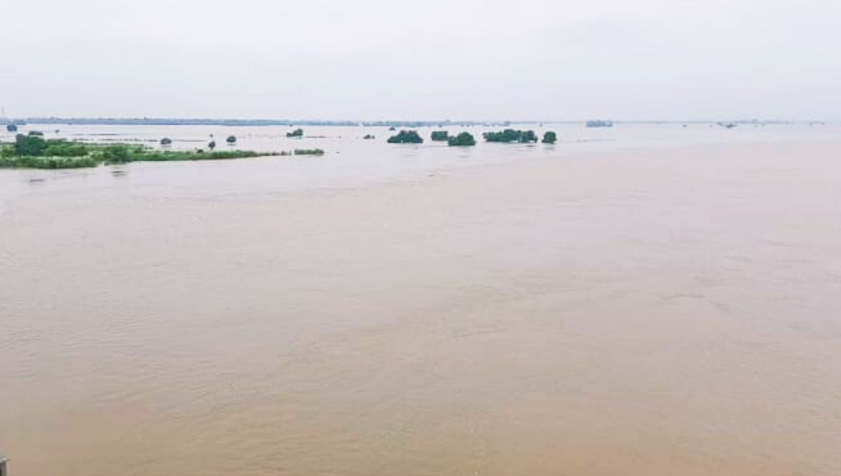 यमुना से गंगा तक — प्रदूषण की भयावह श्रृंखला यमुना से गंगा तक — प्रदूषण की भयावह श्रृंखला
