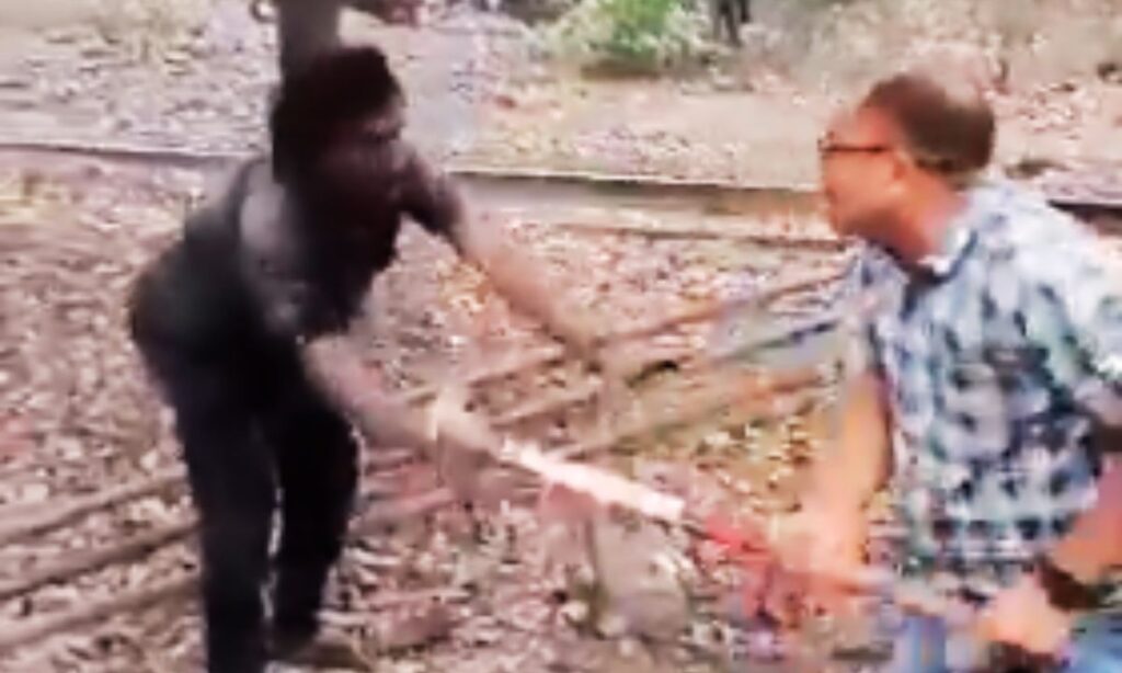 बैगा आदिवासी पर बर्बरता का वायरल वीडियो: सिंगरौली की घटना ने फिर उठाए आदिवासी सुरक्षा, न्याय और विस्थापन पर बड़े सवाल