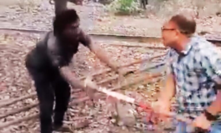 बैगा आदिवासी पर बर्बरता का वायरल वीडियो: सिंगरौली की घटना ने फिर उठाए आदिवासी सुरक्षा, न्याय और विस्थापन पर बड़े सवाल